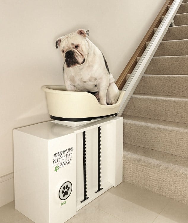 Stair of the dog: world's first stair lift for obese dogs unveil